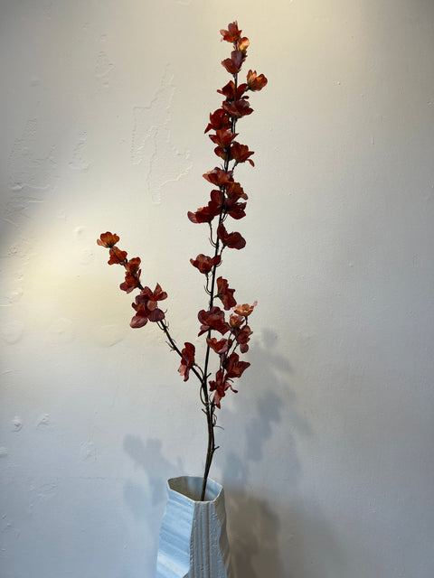 Delphinium oranje 110 cm