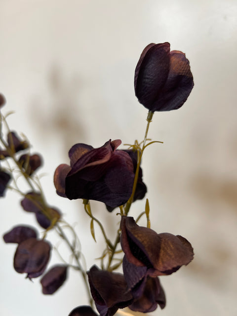 Physalis tak zwart/paars 95 cm