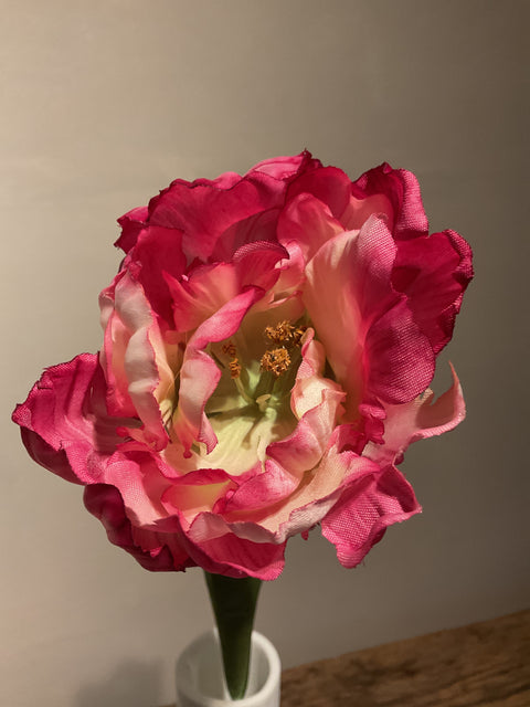 Tulp paris roze 66 cm