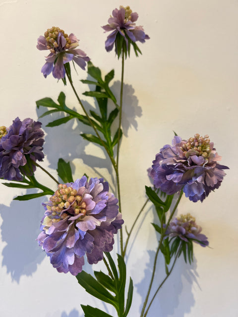 Scabiosa spray lila 113 cm