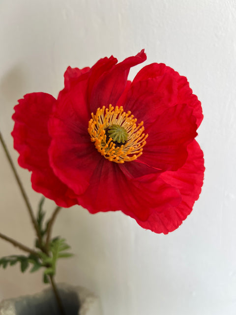 Papaver spray rood 75 cm