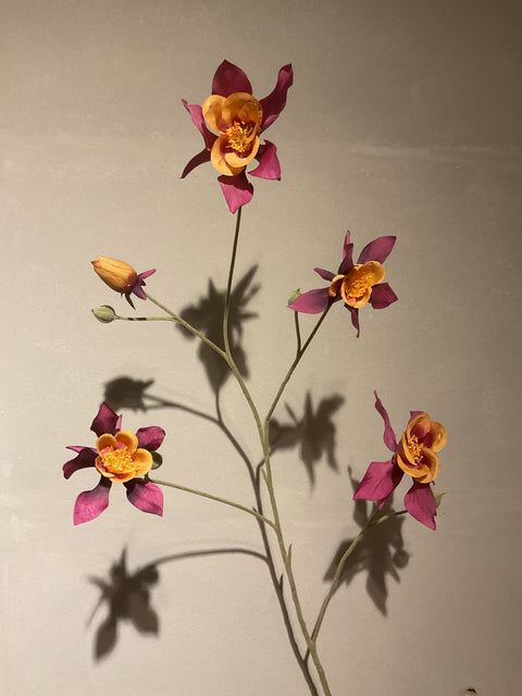 Akelei bloemen tak 104 cm bordeaux/oranje