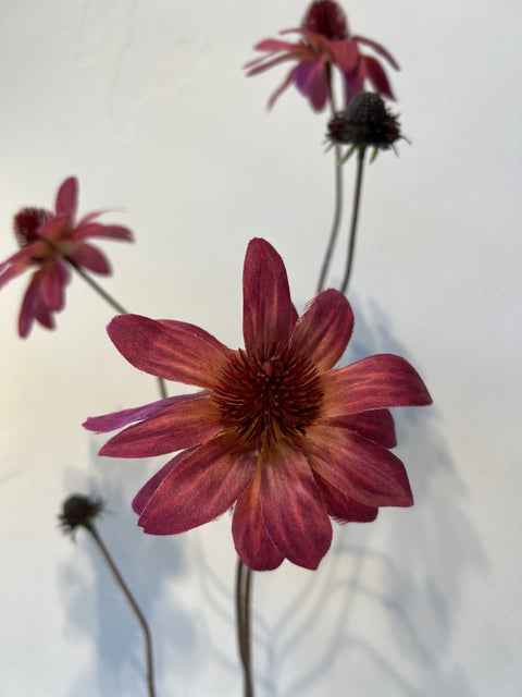 Rudbeckia spray mauve 98 cm