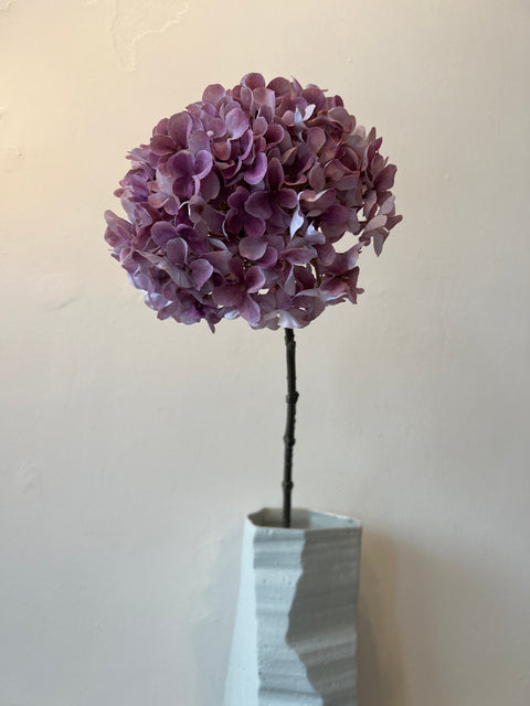 Hortensia bol paars 67 cm
