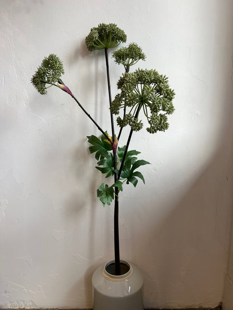 Engelwortel x4 groot groen 130 cm