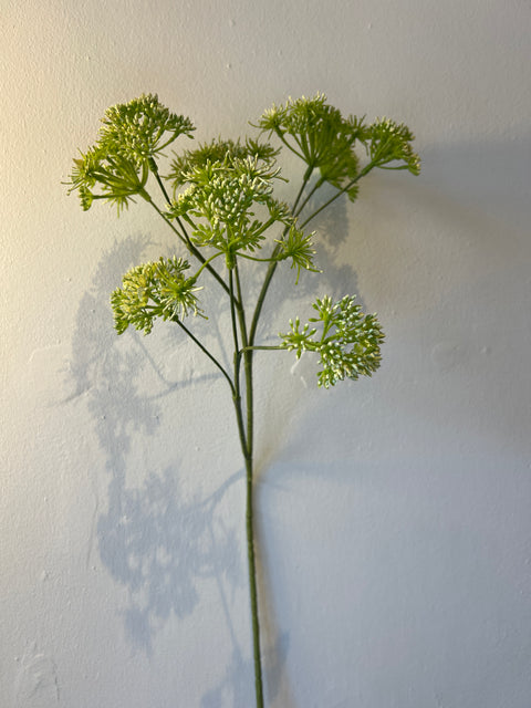 Dille spray fijn groen/wit 58 cm