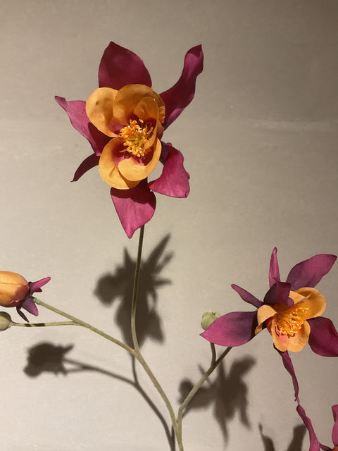 Akelei bloemen tak 104 cm bordeaux/oranje