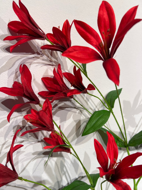 Tiger Lily spray rood 112 cm