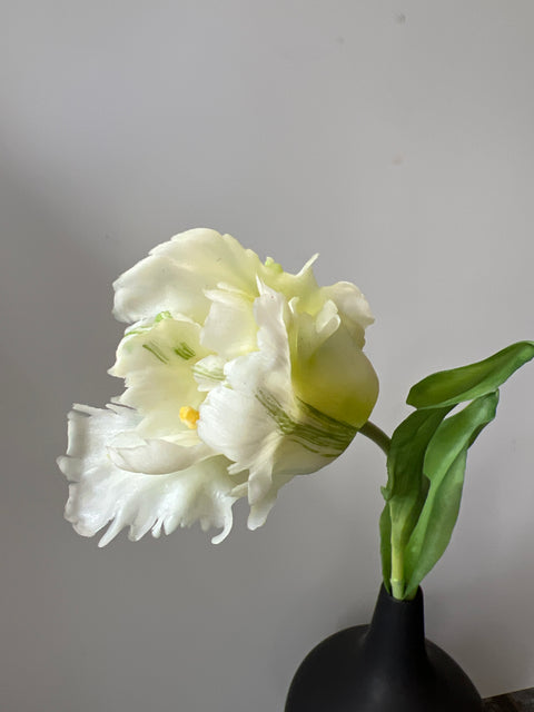 Tulp frans 52 cm wit/groen