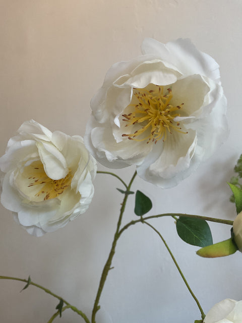 Pioenroos tak crème 112 cm
