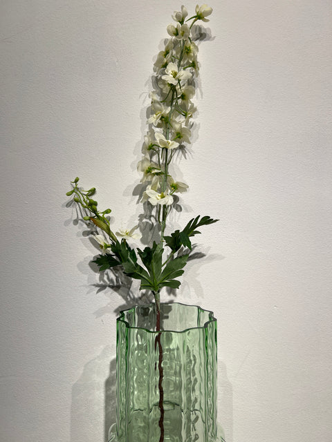 Delphinium  wit  79 cm