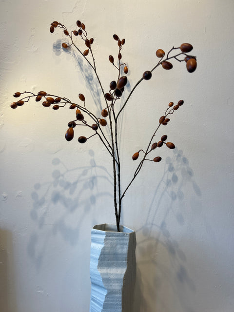 Rozenbottel spray bruin 120 cm