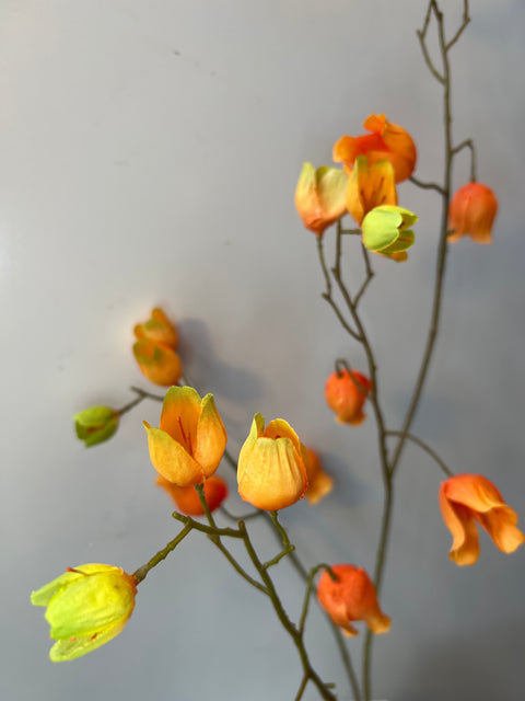 Campanula tak oranje 93 cm