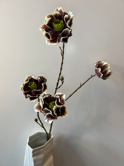 Helleborus tak x4 bruin 93 cm