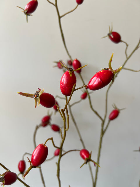 Rozenbottel tak 106 cm rode bottels