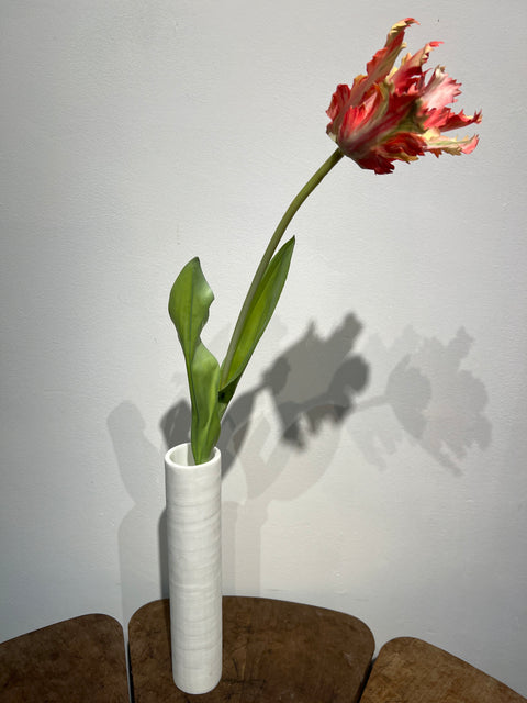 Tulp papagaai 76 cm rood/geel