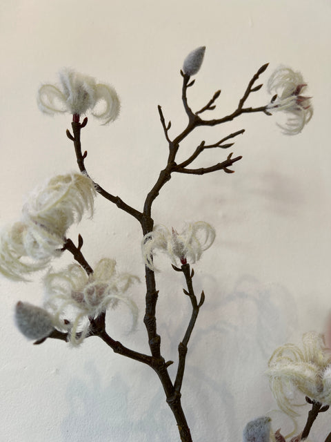 Magnolia tak crème 86 cm