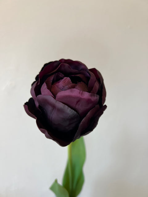 Tulp steel bordeaux 66 cm