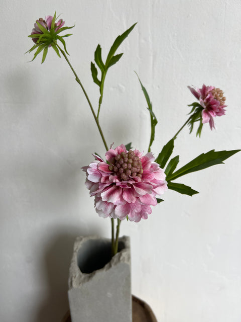 Scabiosa spray roze/wit  62 cm