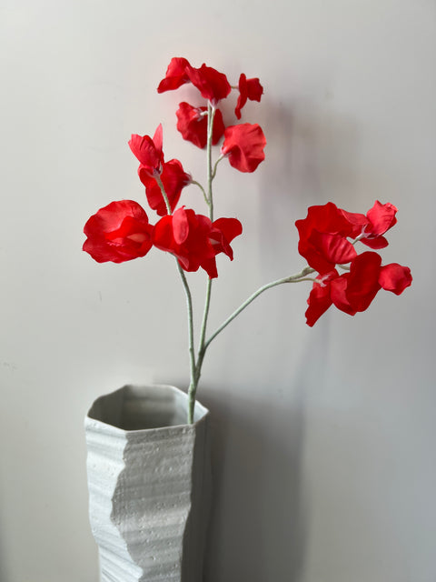 Lathyrus spray rood 66 cm