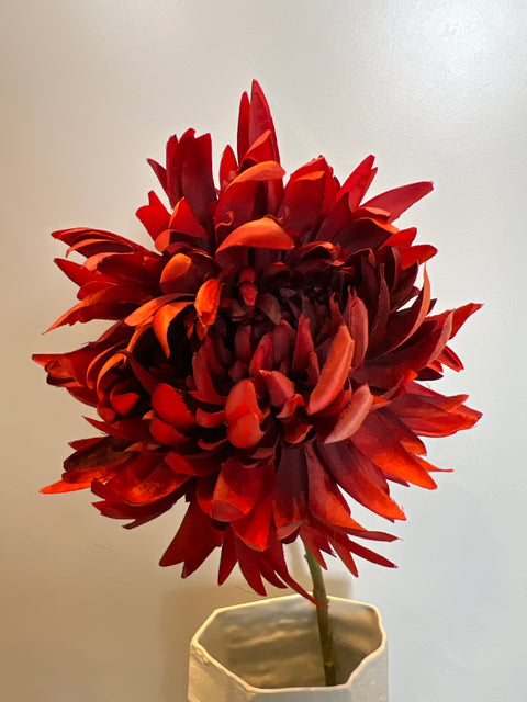 Chrysant MUM rood/oranje 62 cm