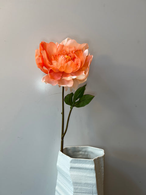 Pioenroos peach 56 cm