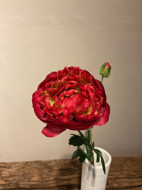 Ranonkel spray Flaine 55 cm rood