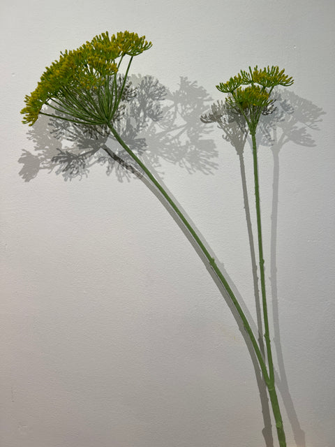 Dille enkel geel 105 cm