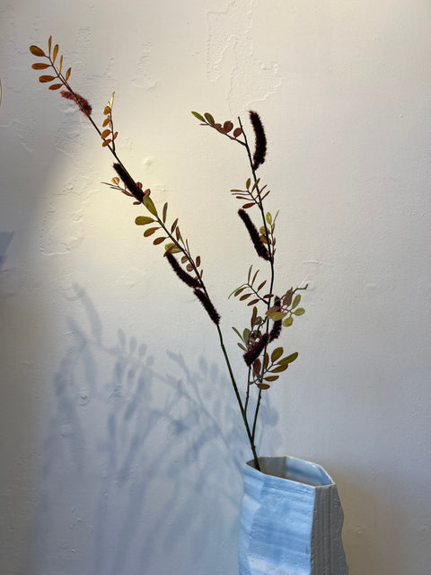 Acalypha tak bordeaux 84 cm