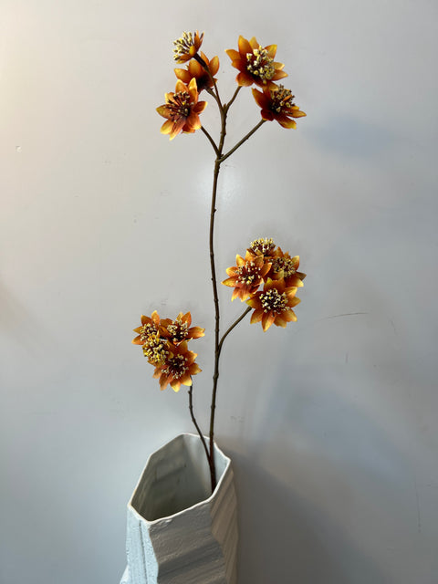 Zeeuws knoopje x3 oranje 72 cm