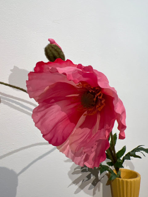 Papaver spray dark pink  75 cm