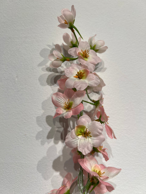 Delphinium  lichtroze  79 cm