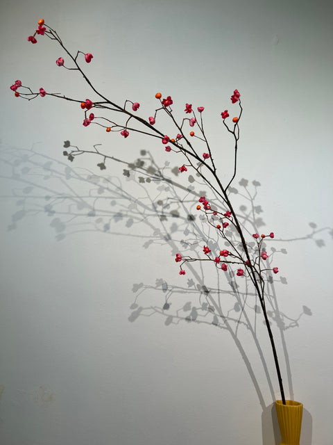 Kardinaalsmuts  oranje/roze  167 cm