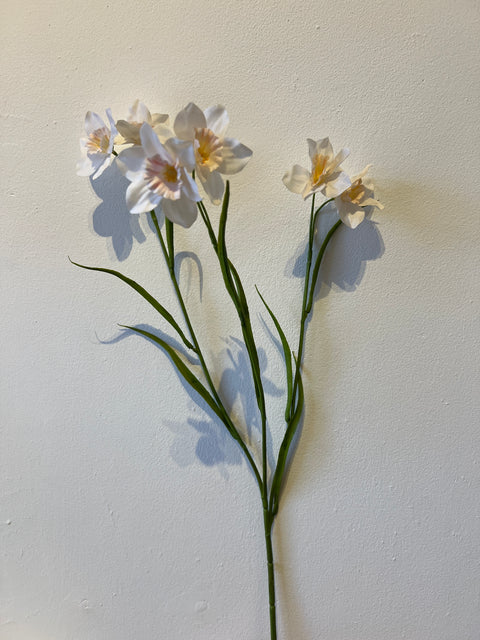 Narcis spray poeder roze 62 cm