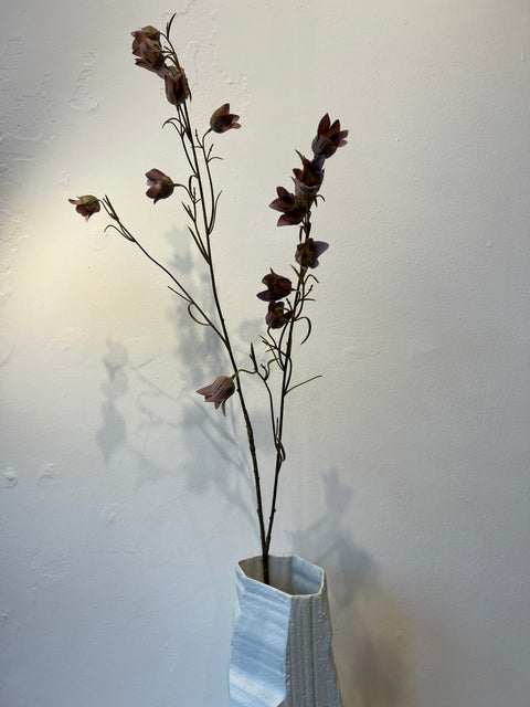Campanula tak mauve 107 cm