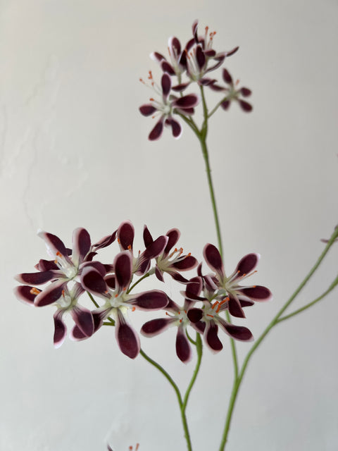 Mini bloem tak bordeaux/wit 96 cm
