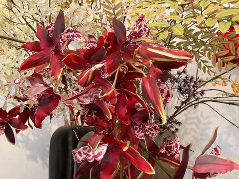 Orchidee steel rood 109 cm