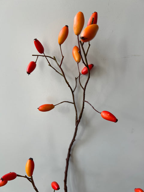 Rozenbottel tak 95 cm oranje/geel bottels