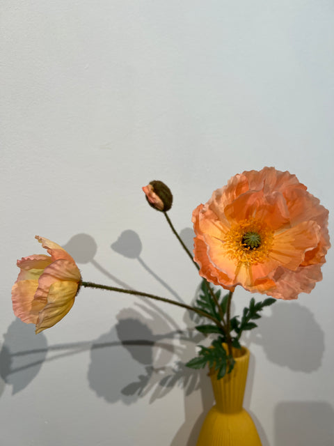 Papaver spray zalm  75 cm