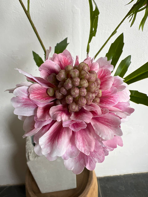 Scabiosa spray roze/wit  62 cm