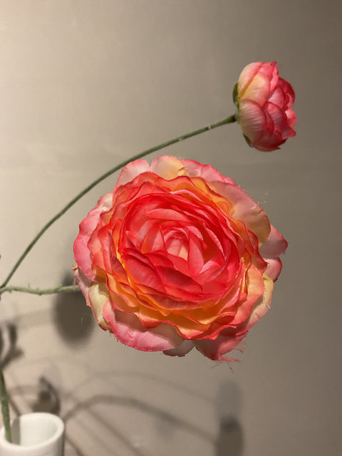 Ranonkel bloem 90 cm pink