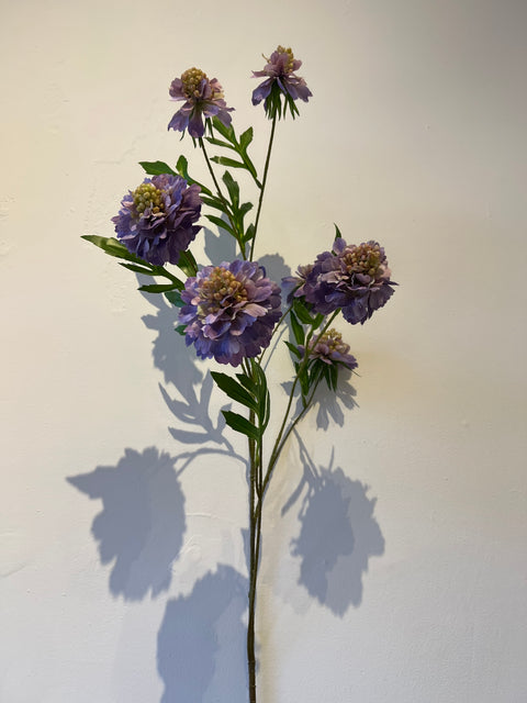 Scabiosa spray lila 113 cm