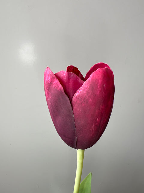Tulp steel bordeaux/rood 82 cm