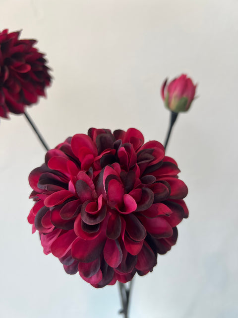 Dahlia x3 donker rood 75 cm