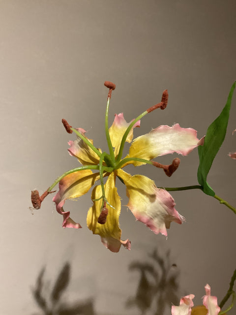 Gloriosa spray 64 cm pink