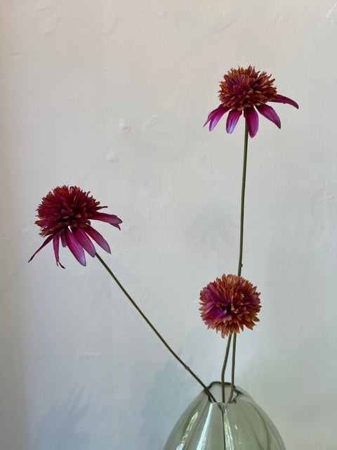 Rudbeckia tak paars 66 cm