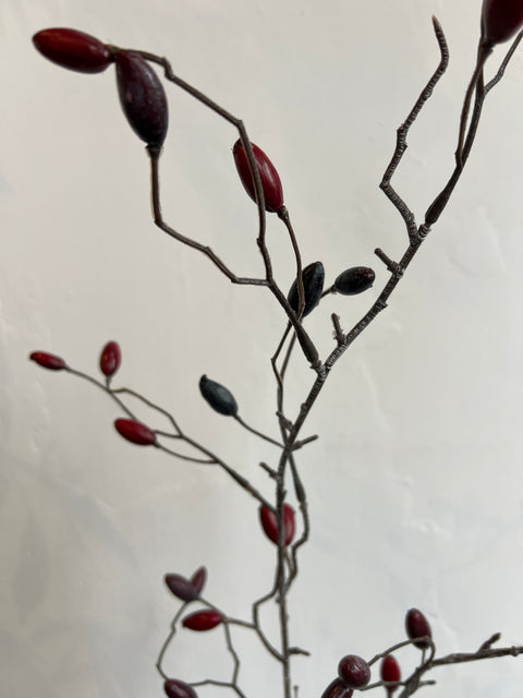 Rozenbottel tak 145 cm rood/zwarte bottels