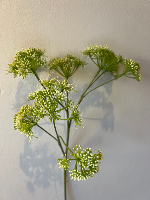 Dille spray fijn groen/wit 58 cm