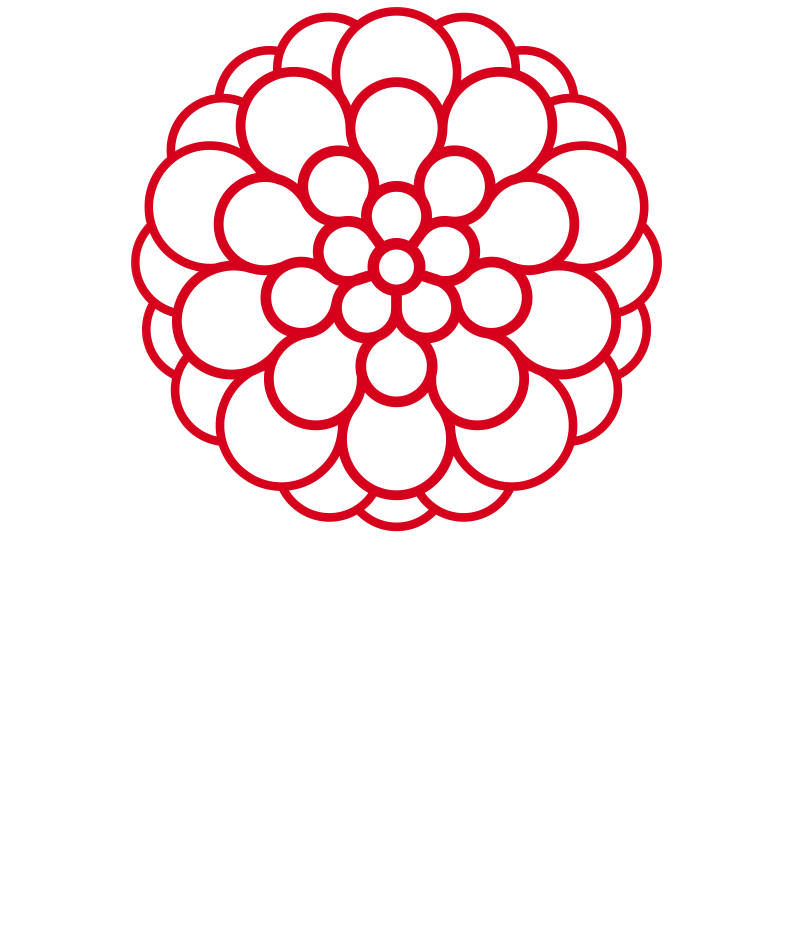 Pompon Flowers