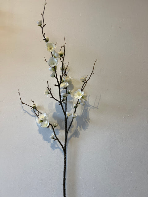 Bloesemtak peer  95 cm wit